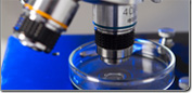 Mikroskopie der nchste Bereich der Labortechnik