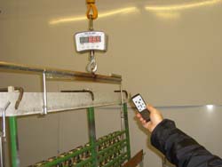 Fernbedienung der Kranwaage