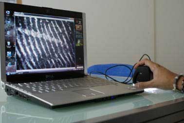 an einen PC angeschlossenes Digitalmikroskop