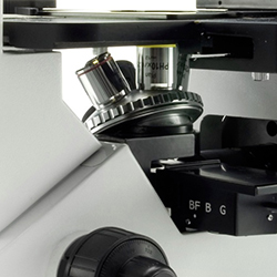 Inverses Biologie-Mikroskop: Nahansicht des Objektivs