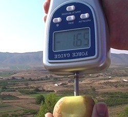 Das Penetrometer verf�gt �ber ein sich automatisch drehendes Display.