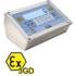 ATEX Waagen Display der DFWATEX3GD Serie