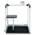 Fitnesswaagen SECA 685