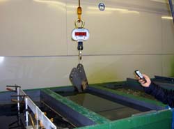 Digital-Kranwaagen im Einsatz an einer Galvanik-Anlage (1).