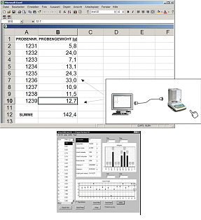 Software fr Waagen