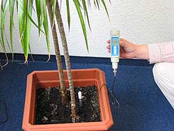 Auch zur Messzung im Pflanzenbereich wird das Erd-pH-Meter eingesetzt.