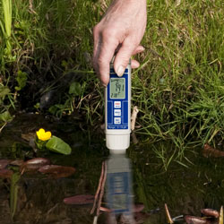Hier sehen Sie den pH-Tester bei der pH Ermittlung von Gewässer eines Gartenteiches.