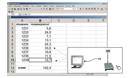 Software der Plattformwaage PCE-TS